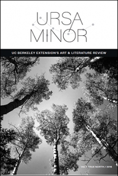 Ursa Minor, Extension's literary journal 2016