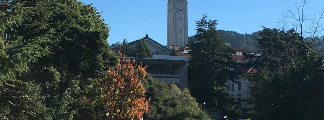 Beautiful open park on Berkeley campus