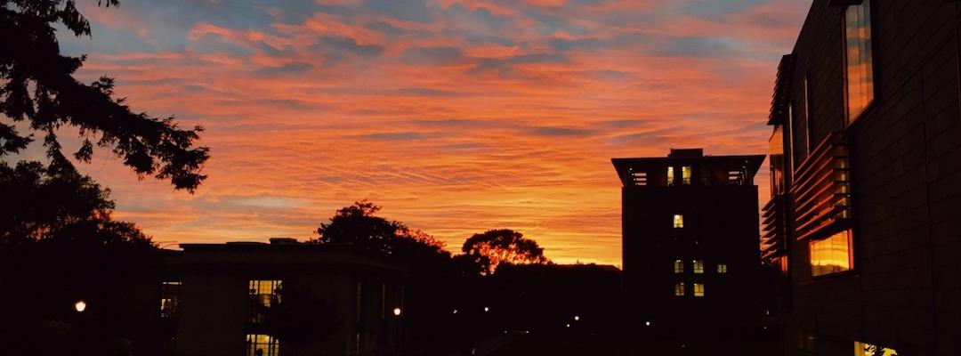 A few buildings and trees that are darkened by the beautiful sunset in the background