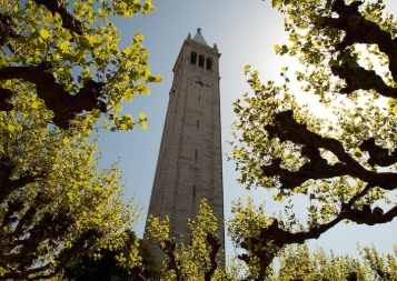 UC Berkeley's famous campanille bell tower framed by trees on campus