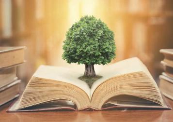 Small tree growing in the center of an opened book on a desk in a library