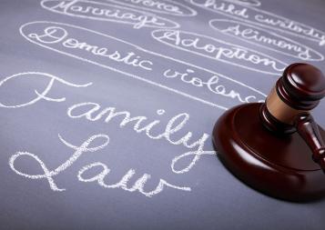 Image of judge's gavel to the right of words such as family law and domestic violence on a purple background