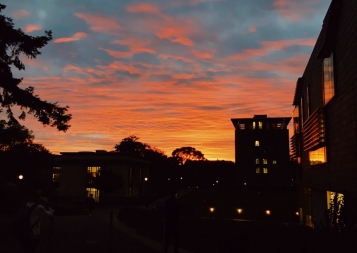 A few buildings and trees that are darkened by the beautiful sunset in the background