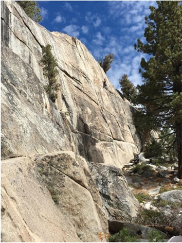 Photo of Edmond Matevosian rock climbing