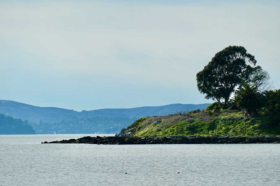 Photo of Albany Beach taken by student Marina Zalcberg Angulo